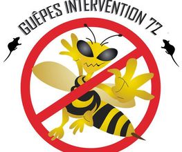 Guêpes Intervention image 3