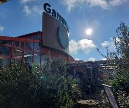 GAMM VERT image 2