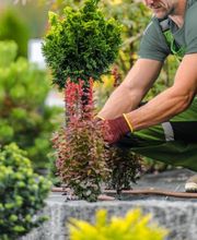 Floraconcept image 2