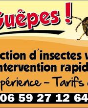 Allo Guepes image 5