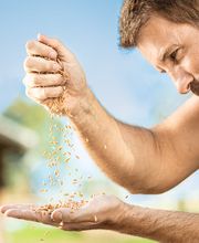 ZG Raiffeisen Agrar-Niederlassung und Getreidesilo Bild 3