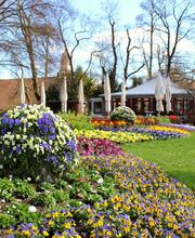 Restaurant und Eiscafé Rossini Bild 3