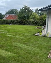 Haus-&Gartenservice Rose Bild 27