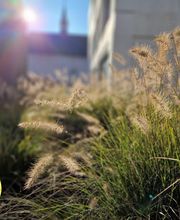 Moor-Nebel Gärten GmbH Bild 14