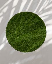 Strenz Living GmbH&Co.KG Bild 19