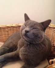 Marina Et Compagnie image 1