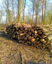 Fichet Michaël image 1