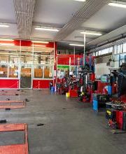 Gorla Euromaster immagine 11