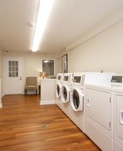 Brooksville Court & Brooksville Green Apartments image 8