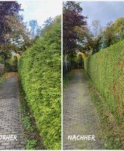 NG SERVICES BERLIN Bild 8