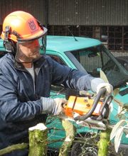 Brenner AG Gartenbau Bild 12