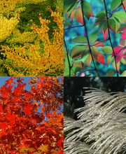 Bruderer Gartenbau AG Bild 3