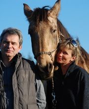 Centre équestre La Sabretache Les Chevaux de saint Victor image 1