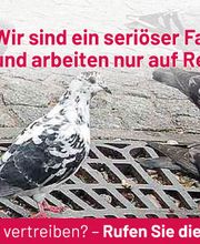 ATOX Schädlingsbekämpfungsfachbetrieb Bild 8