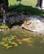 LEDER Garten- + Landschaftsbau Bild 9