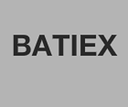 Batiex image 2