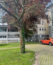 Parkplatz an einer Wiese mit Bäumen. Ein rotes Auto parkt.