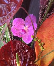 Efflorescence image 10