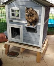 L'arche de Corinne image 19