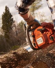 Faure Jardinage image 3