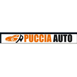 Autolavaggio Puccia Service - Commercio veicoli usati - Lavaggio auto manuale logo