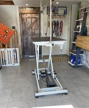 Détente Canine image 8