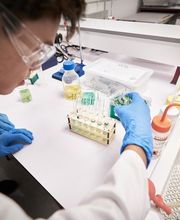 Ecole d'ingénieurs biotechnologies Paris - SupBiotech image 6