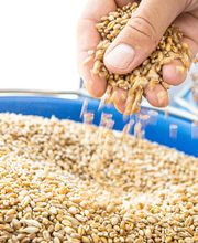 ZG Raiffeisen Agrar-Niederlassung und Getreidesilo Bild 1