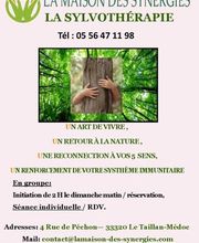 LA MAISON DES SYNERGIES image 10