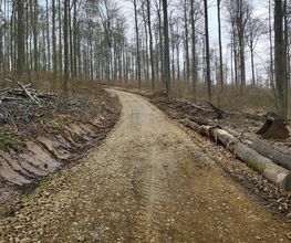Baggerbetrieb Wagener Bild 4