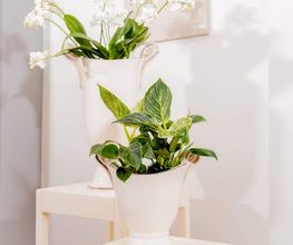 Blumen Deko Kreativ Mareen Weiske-Schuh Bild 1
