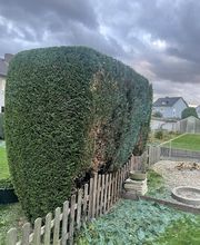 J&T Garten&TerrassenHelden Bild 4