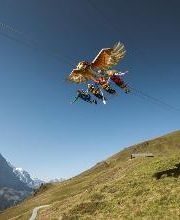 First Glider Bild 2