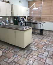 Wild River Veterinary Clinic image 1