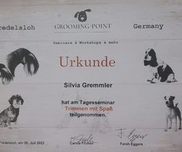 Silvis mobiler Hundefriseur Bild 1