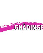 Gnädinger Malerwerkstatt AG Bild 1