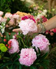 Les Fleurs de Cuers image 9