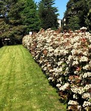 Claivaz paysagiste Bild 9