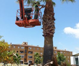 garden-sur-trabajo-02.jpg