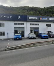Gallery Cliente