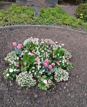 Blumenhof Müller oHG Bild 1