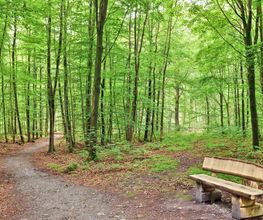 FriedWald Buxtehude Bild 12