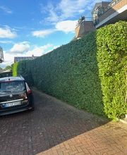 Haus-Garten-Service Bild 10