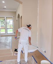 That 1 Painter Sarasota image 16