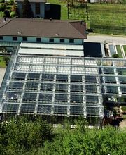 Bullo Luca Fiori Bild 4