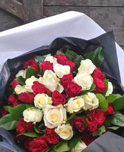 Pougary Marie image 10