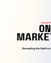 Reveal Web Services image 1