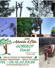 Arboriste d'élite Gorgeot David image 3