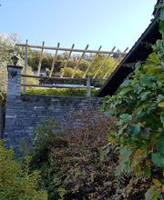 BaumGärtner - Giardini Bild 9