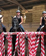 Pferdepensionsstall Bild 4